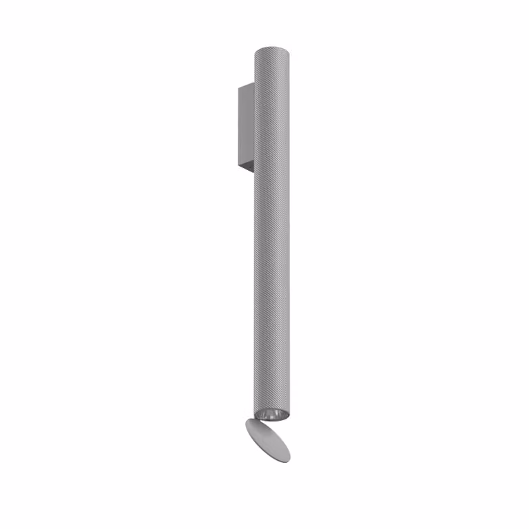 Flos - Flauta Spiga 2 Dimmable DALI - Lampada da parete o soffitto da esterno - Grigio