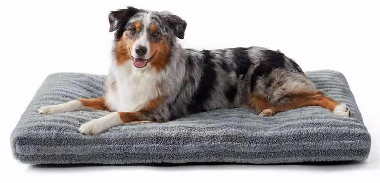 Cuccia per cani, taglia XL-Plus, grigia, dimensioni 112x82x11 cm, lavabile, ortopedica, antiscivolo