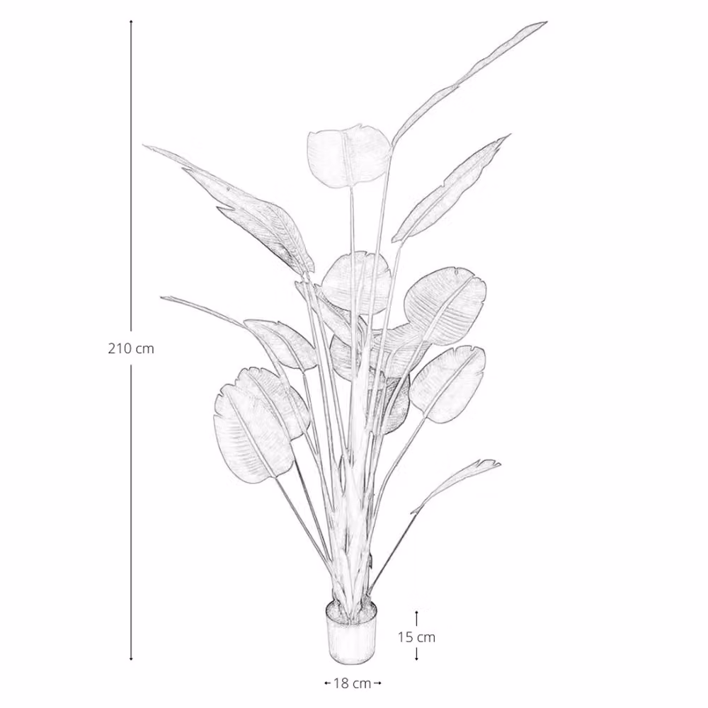 Pianta artificiale Strelitzia verde con vaso decorativo Okaffarefatto, Altezza: 210 cm – 2