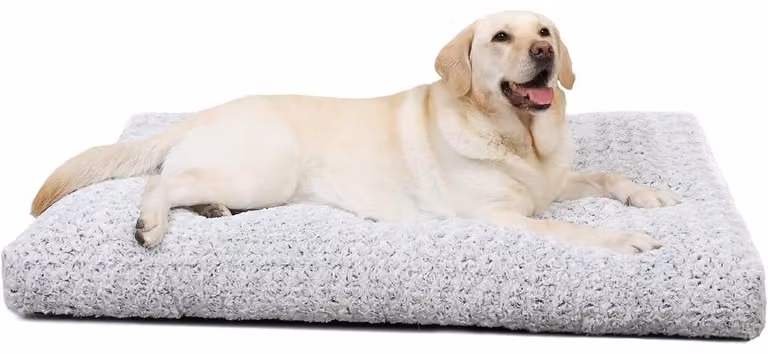 Cuccia per cani, colore grigio chiaro, dimensioni 90x60 cm, adatta a cani di grossa taglia, antiscivolo, traspirante