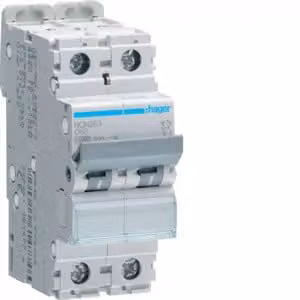 Interruttore automatico bipolare 10 kA, curva C, 63 A, 2 moduli