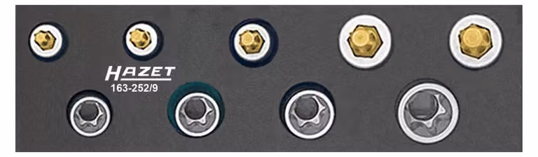 Hazet Bit set 3/8 (10 mm) 9-piece 163-252/9
