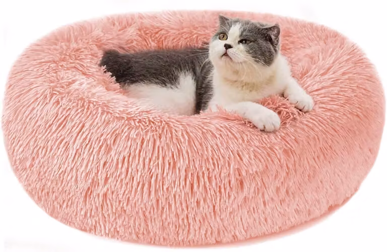 Cuccia per cani, taglia S, in peluche, lavabile, per cani