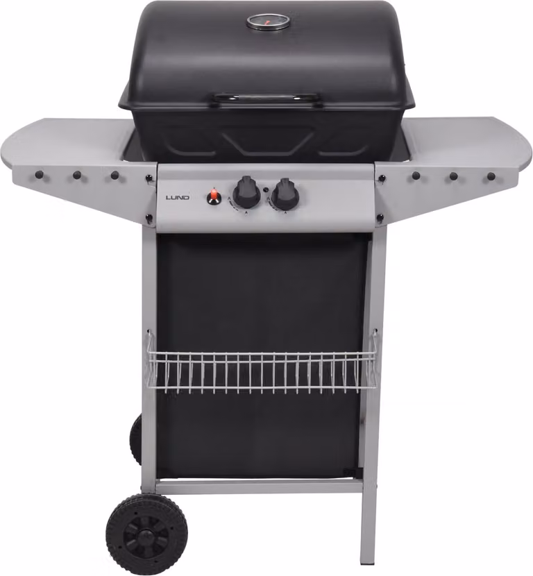 Barbecue a gas 5,5 kW, 2 bruciatori, acciaio 97,3 × 53 ×102 cm