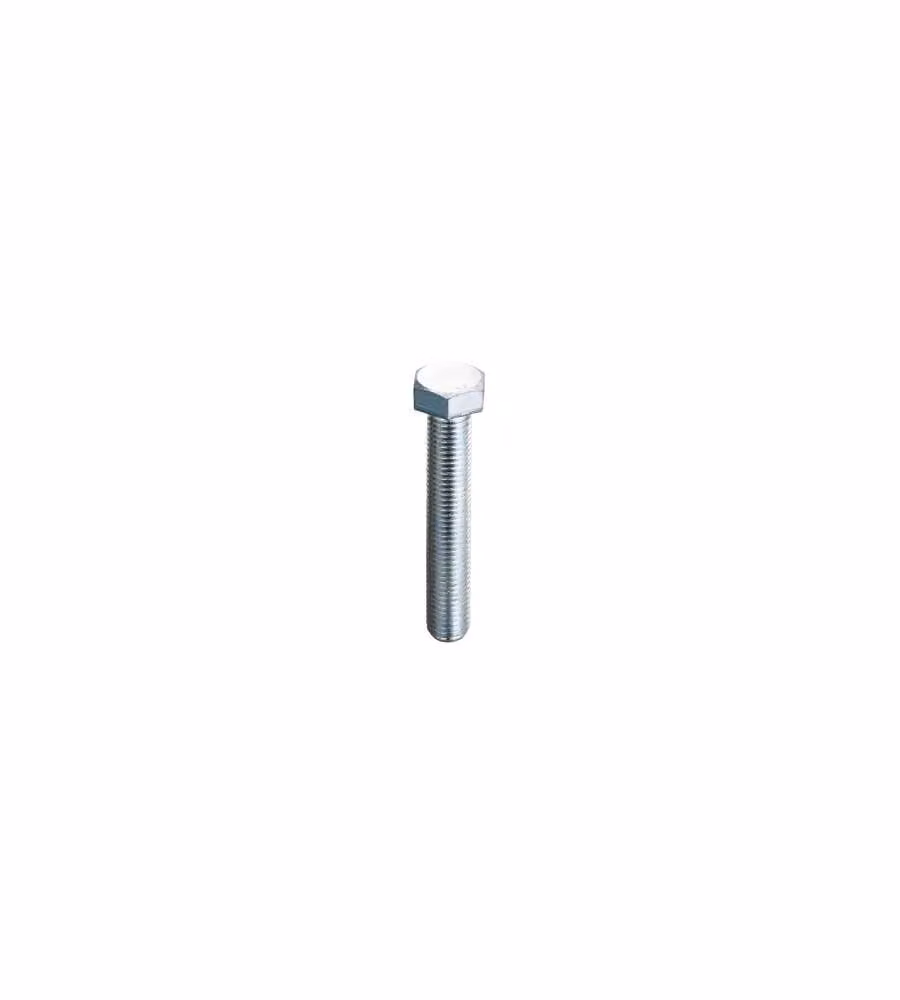 Viti Metriche Inox Testa Esagonale Mm.6X30