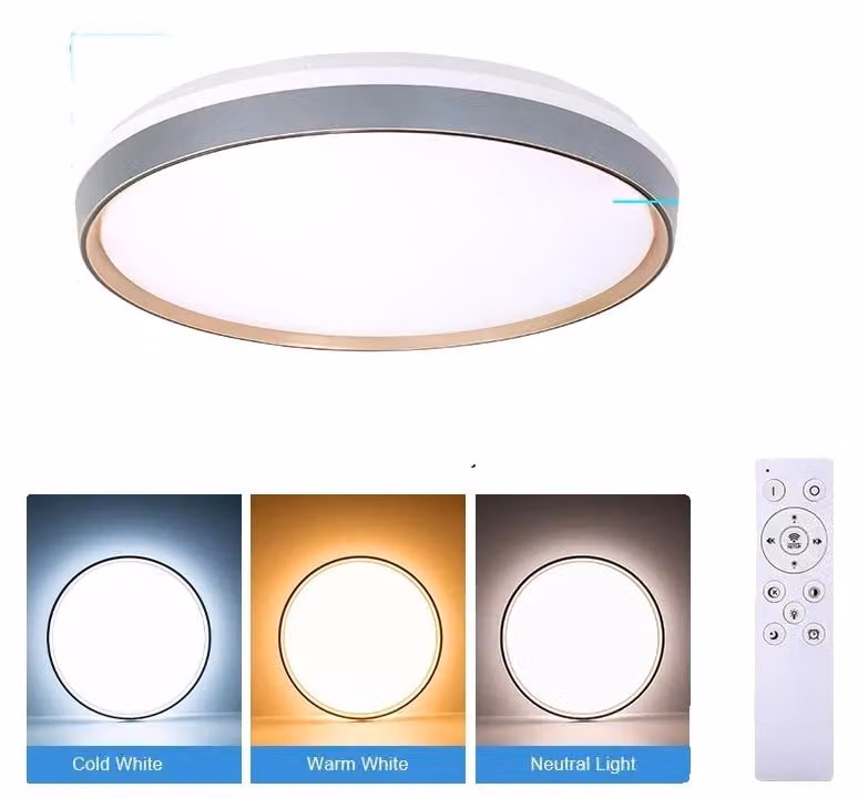 Lampada a soffitto LED intelligente, dimmerabile, con diverse opzioni di controllo. Lampada a soffitto intelligente