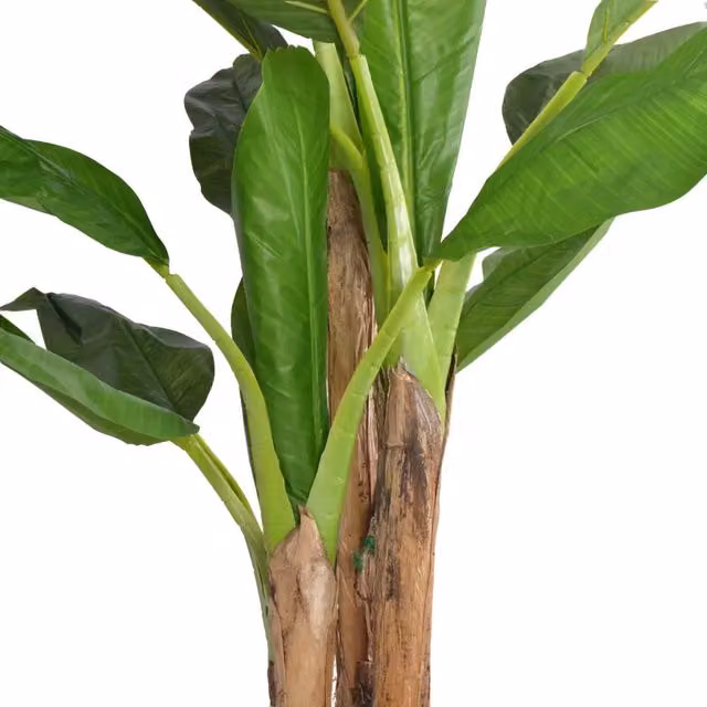 Albero Banana Artificiale con Vaso 175 cm Verde CFW7656337