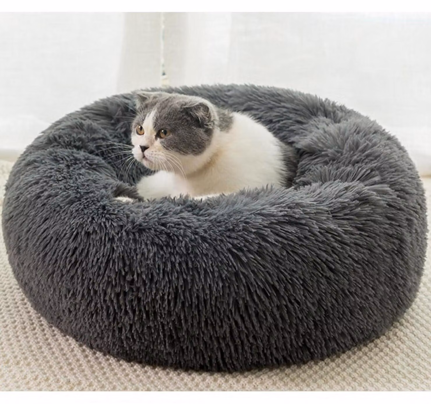 Cuccia per cani, forma circolare, colore grigio scuro, dimensioni 90x90x20 cm. Lavabile, con fondo antiscivolo