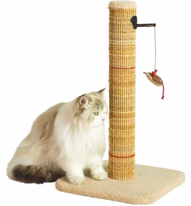 Tiragraffi per gatti, ZOLUX Boréal, sisal, con topolino giocattolo, 60 cm, beige
