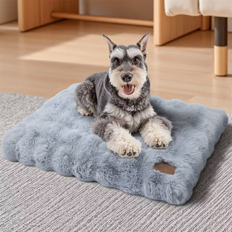 WISFOR Lettino per cani lavabile con fondo antiscivolo, morbido cuscino e tappetino per cani, divanetto impermeabile con rivestimento sfoderabile – M: 76x51x10 cm, grigio