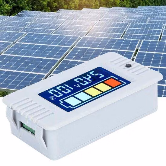 Voltmetro digitale con display per la capacità della batteria - Misuratore universale di tensione della batteria 0-100 V