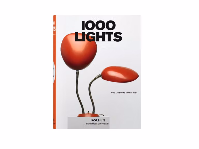 1000 Lights Libro