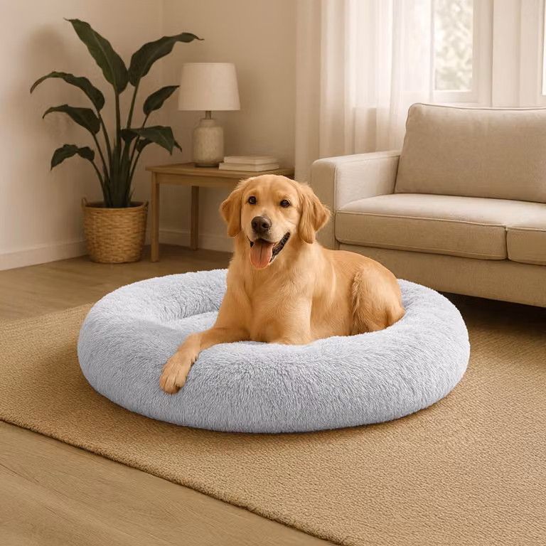 belviona donut dog bed, letto in peluche con soffice imbottitura, presa sicura e bordo ergonomico, diametro 100 cm, grigio chiaro