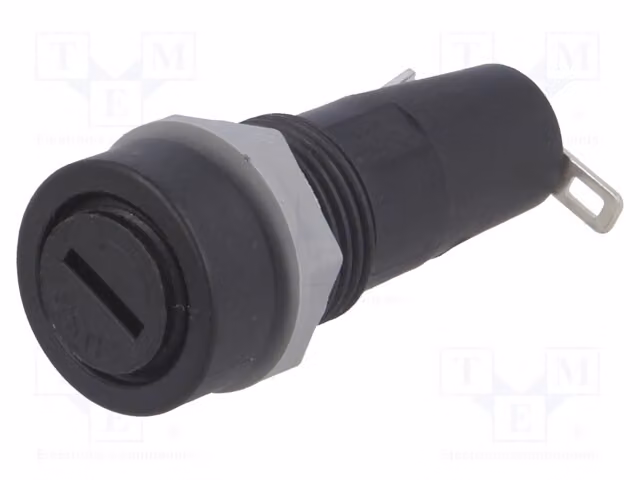 1 fusibile cilindrico da 5x20 mm, 10A, per scatole di fusibili a montaggio su guida DIN PTF/35