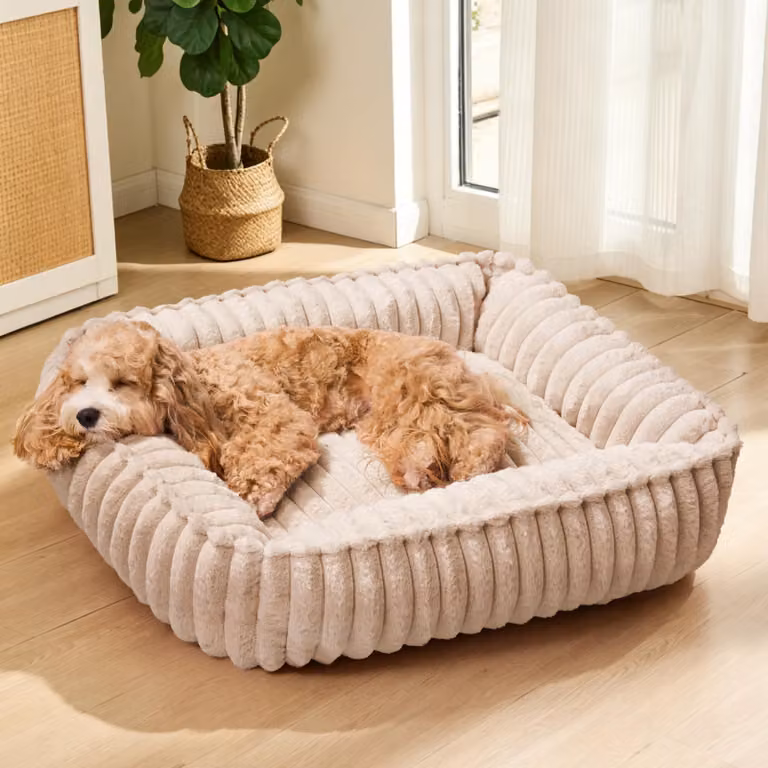 Cuccia ortopedica lavabile per cani di grossa taglia