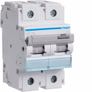 Interruttore automatico bipolare 15 kA, curva C, 100 A, 3 moduli