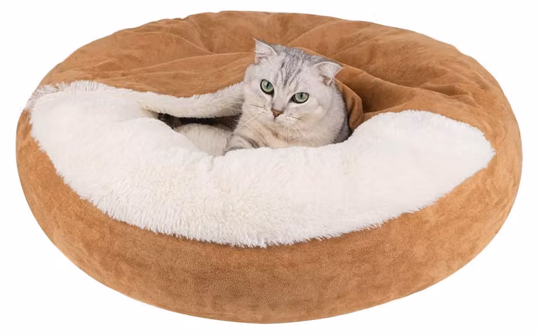 Omgoods - Cuccia per cani, leggera e portatile - Confortevole per cani di piccola taglia