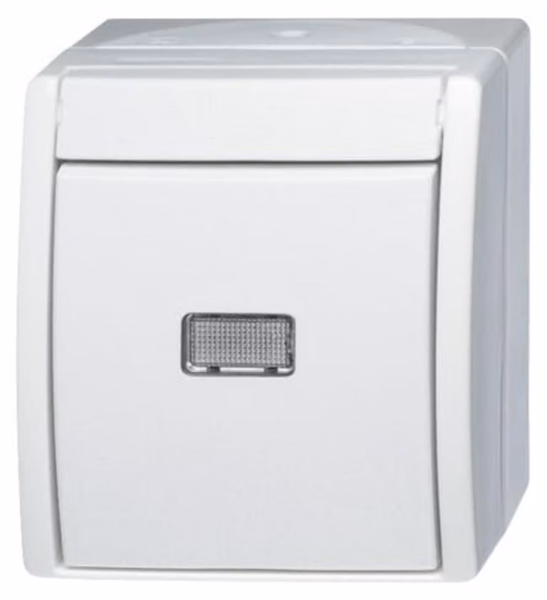 Pulsante Busch-Jaeger aws 2621 W-54-206 2CKA001484A0377