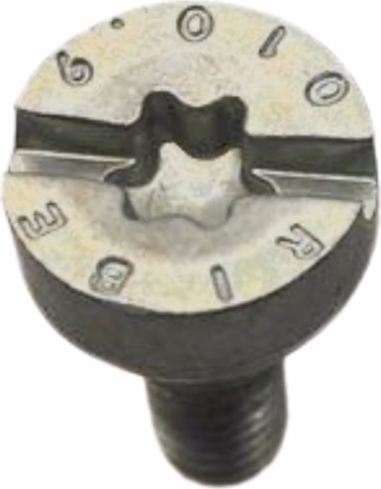 Vite di ricambio Stihl IS-M5x14 per motoseghe MS 182 - MS 291