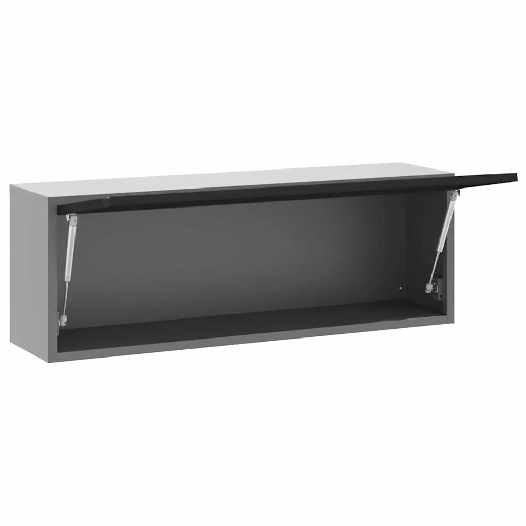 Armadio portautensili da interno in acciaio nero e grigio L/P/H: 100 x 25 x 35 cm – 2