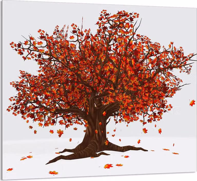 PIATTO IN VETRO PER CUCINA 65x60 albero