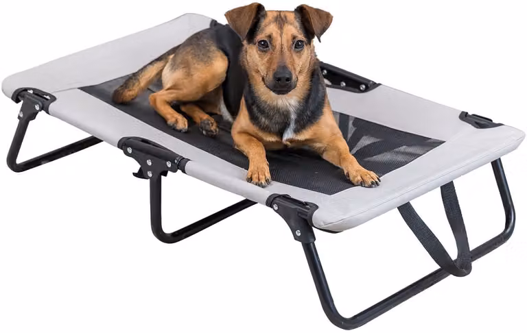 Cuccia per cani robusta e confortevole con funzione pieghevole