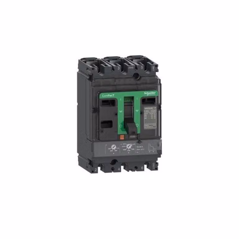 Interruttore automatico compatto Schneider Electric C10F3TM080