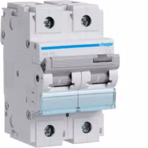 Interruttore automatico bipolare 15 kA, caratteristica D, 100 A, 3 moduli