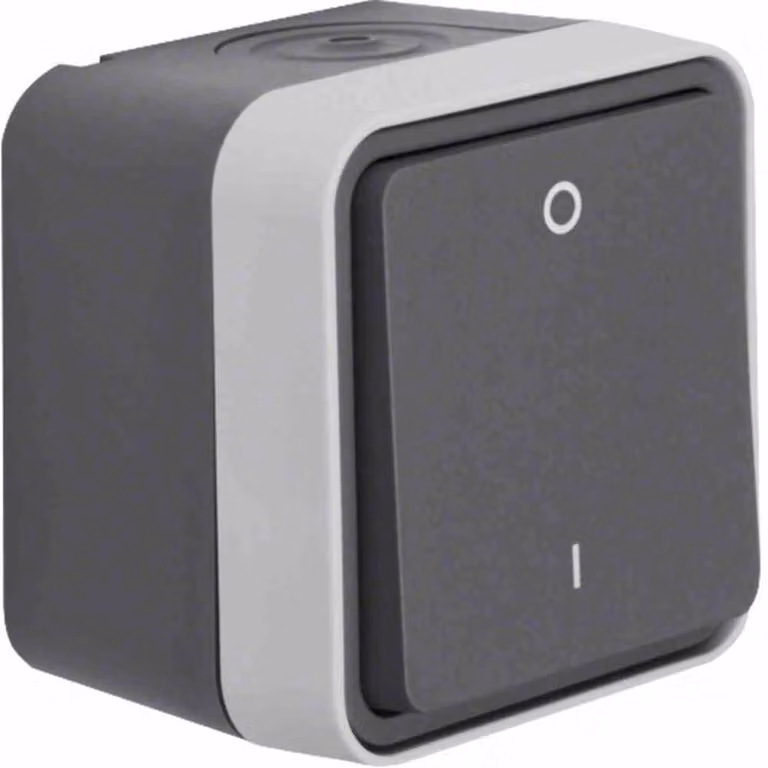 Interruttore automatico Berker 30723505