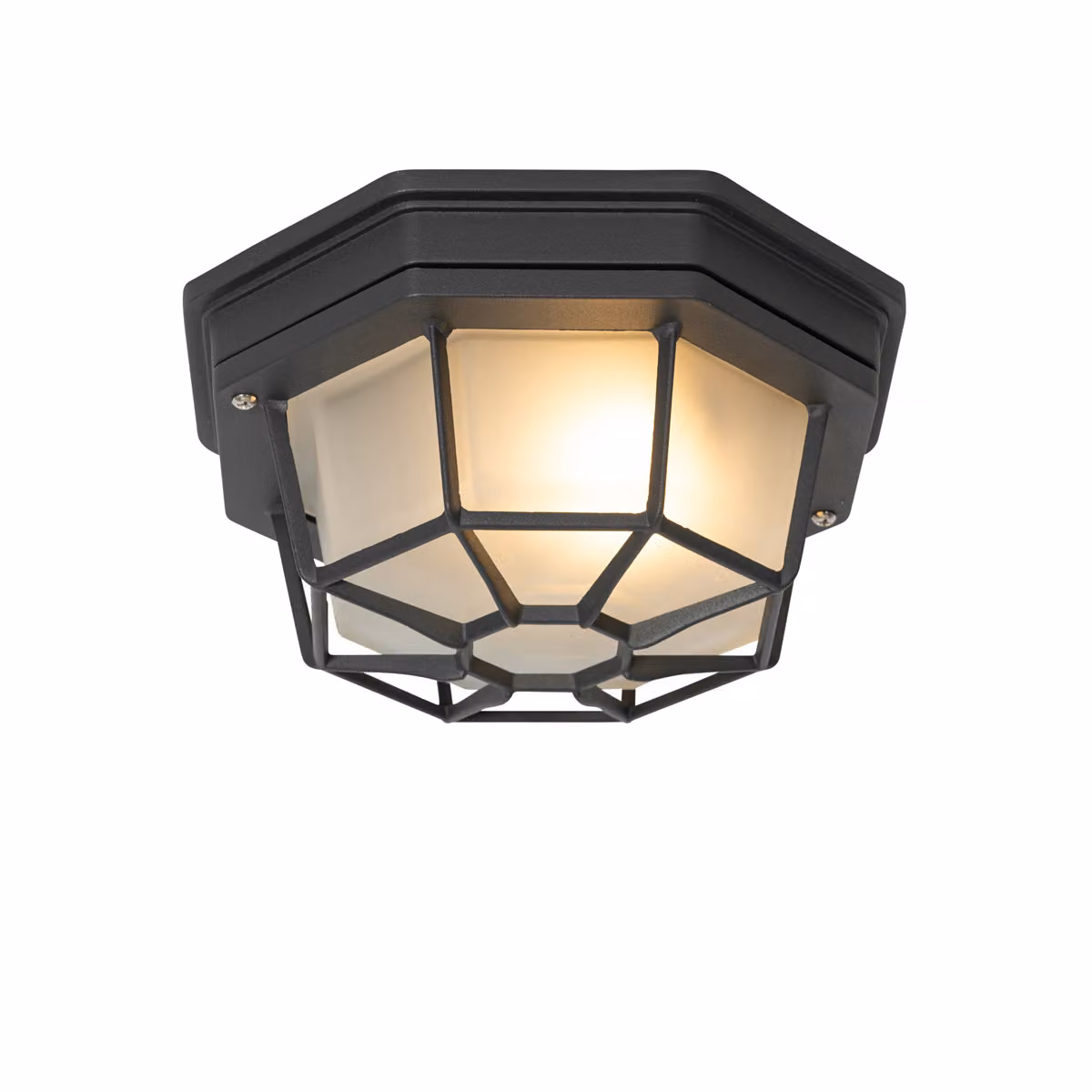 Lampada da soffitto Rural grigio scuro IP44 Bri S