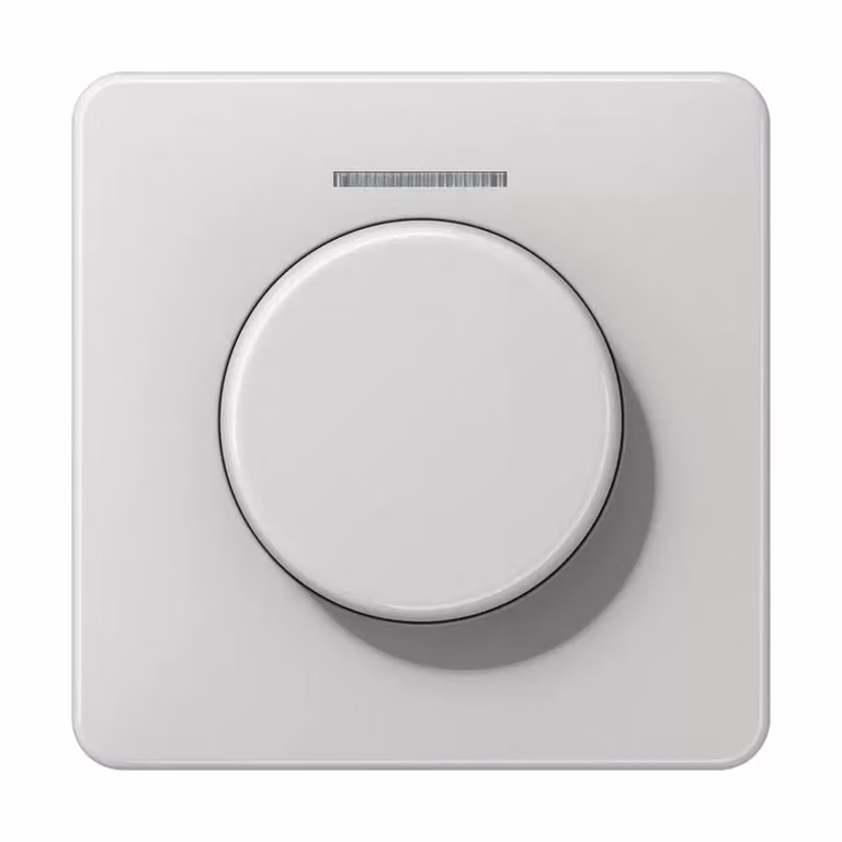 Jung CD1540KO5LG Copertura con guida luce, grigio chiaro