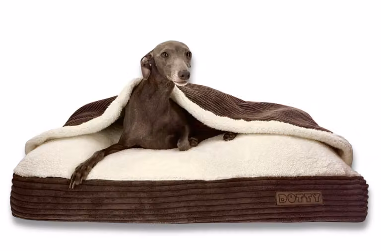 DOTTY Cuddly dog cave Cuddly dog bed Nido per cani Grotta per gatti Sacco a pelo per cani - Tessuto a coste marrone con pelliccia color crema - Misura L (90 x 70 cm)
