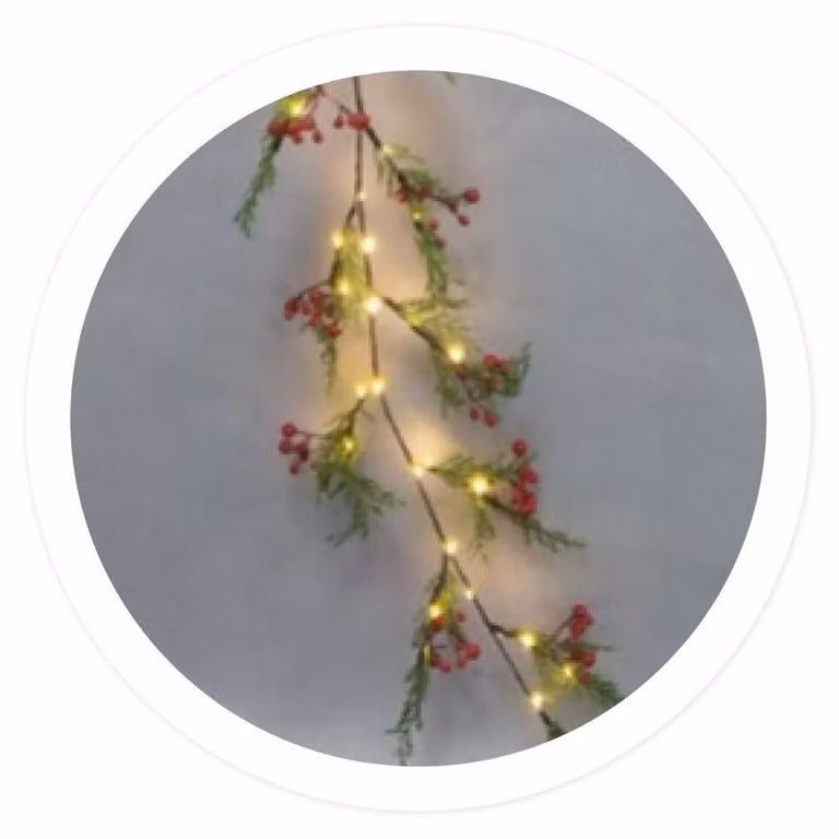 Ghirlanda luminosa a LED con bacche rosse e rami, confezione singola