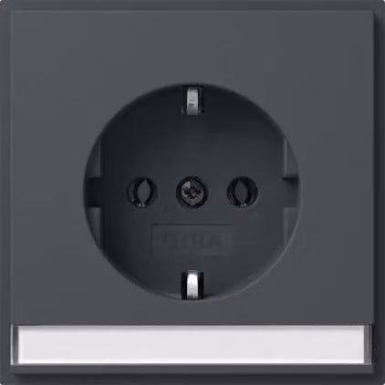 Presa SCHUKO Gira BSF + SP (IP20) Gira TX_44 antracite 446267