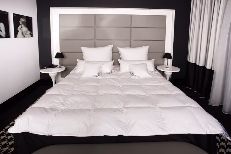 HS82 Piumino 200x200 cm 2600 grammi Piumino da letto 15% piumino 85% piume Mayaadi Home