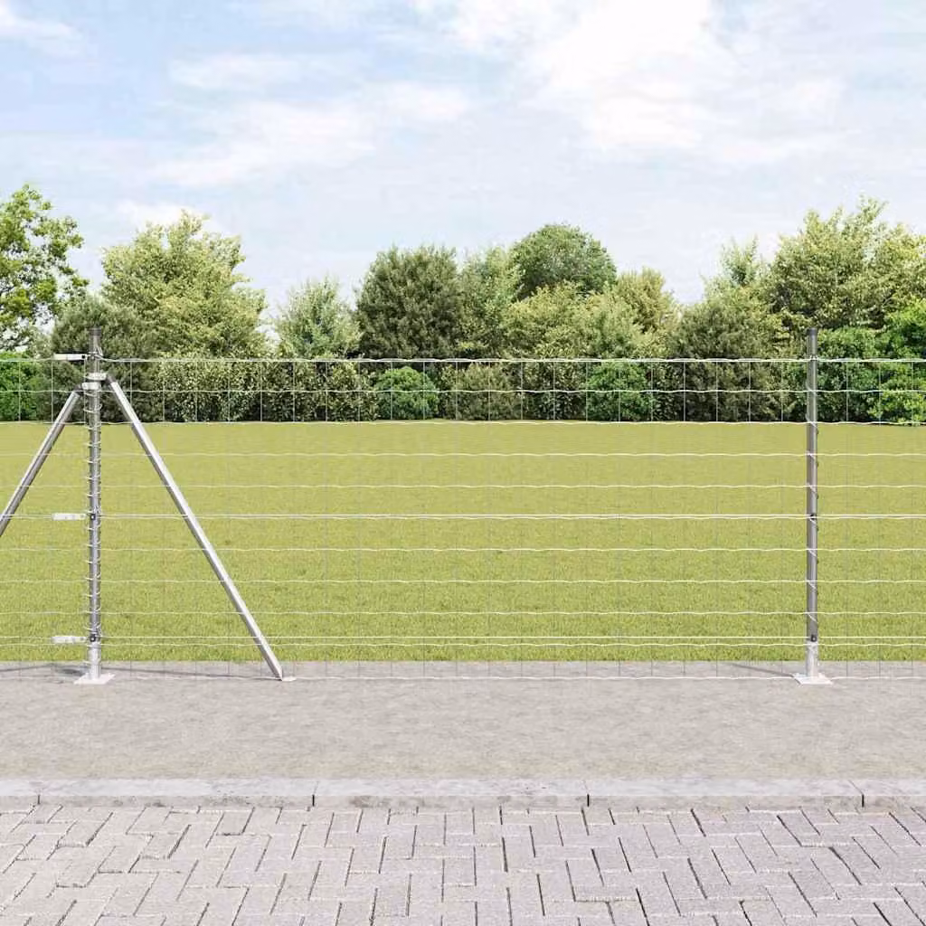 Maison Exclusive - Recinzione con Posto Argento 0,8 x 10 m Acciaio