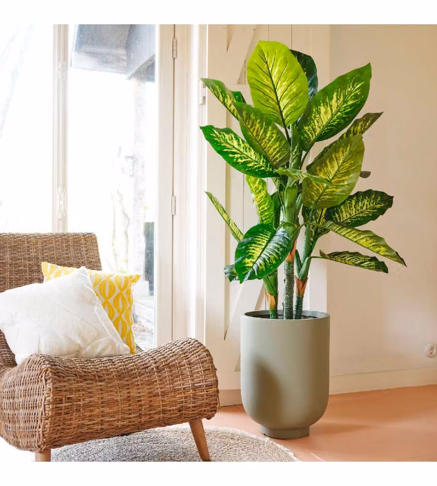 Pianta artificiale Dieffenbachia in vaso