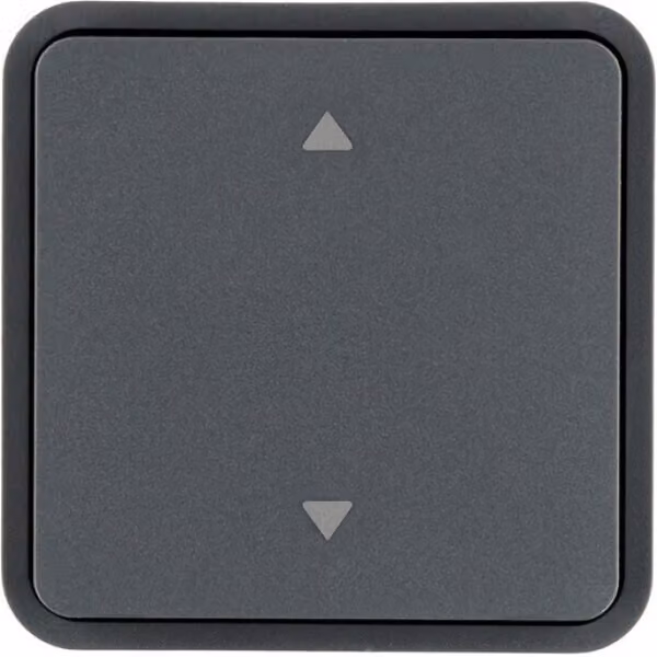 Berker KNX W.1 WIPPE F.TASTER-BA 1F.M (30653545)