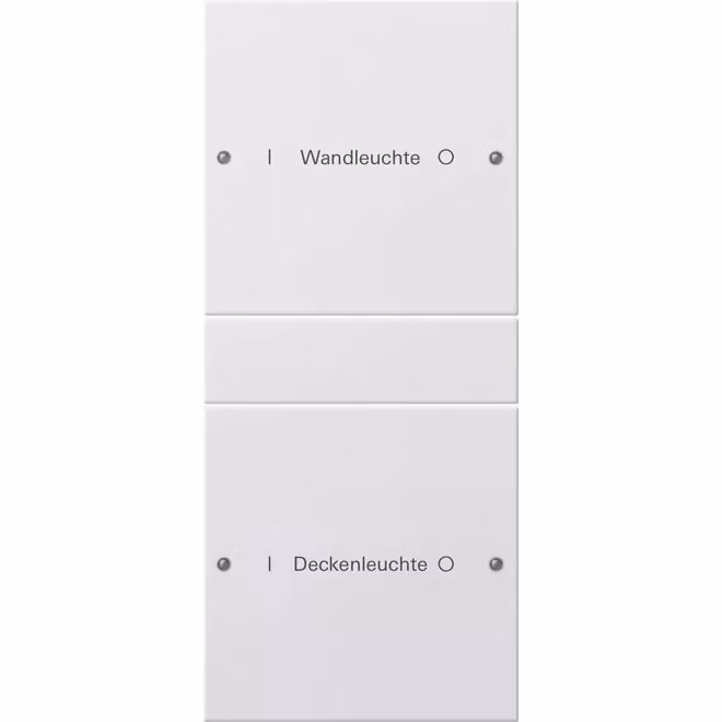 Gira 220203 Set di interruttori a bilanciere doppio, personalizzabile, Sistema 55, bianco puro