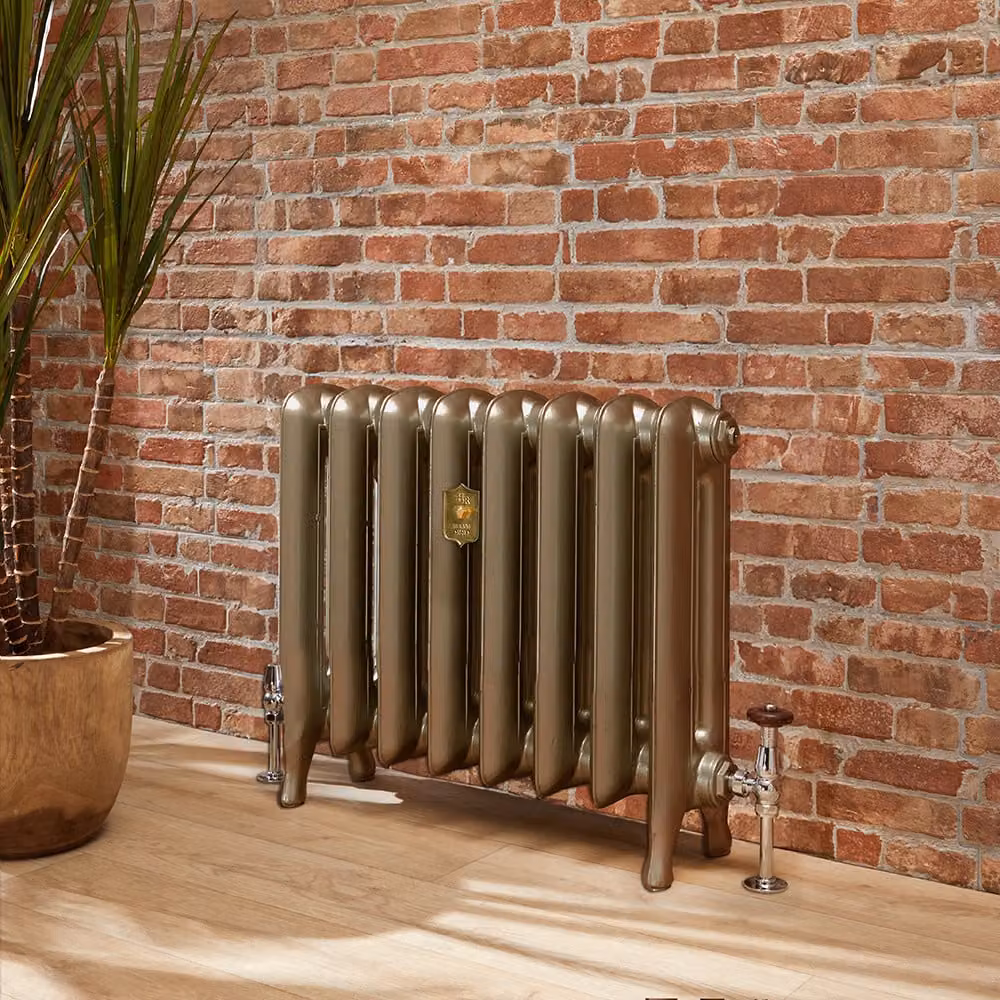Radiatore Tradizionale in Ghisa - Colonne Ovali - Ottone Classico - 560mm x 272mm - Erté