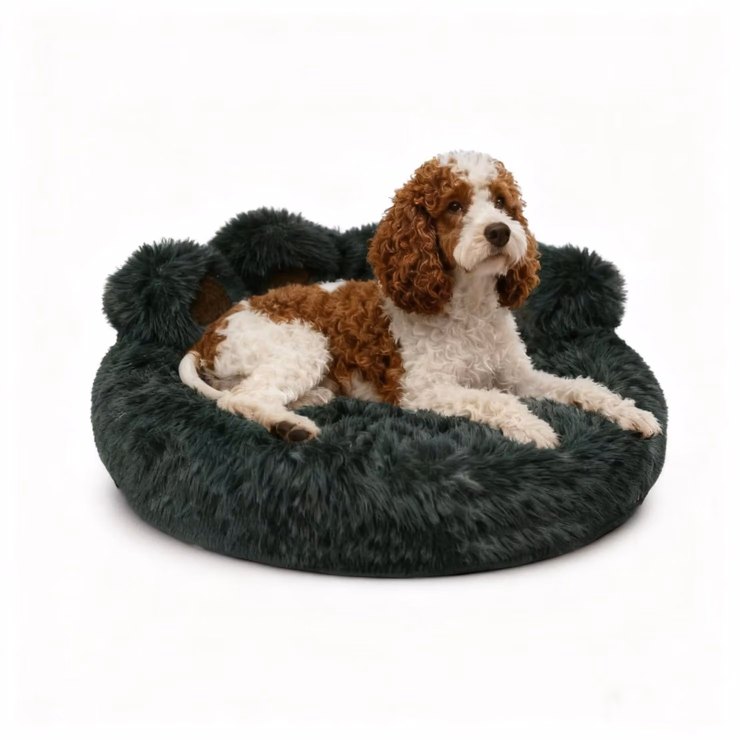 Omgoods - Cuccia morbida e accogliente per animali domestici - Lavabile e calda, ideale per cani di piccola e media taglia