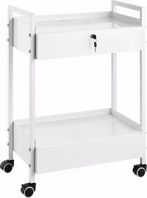 Carrello da laboratorio K-SH004 a 2 ripiani e 2 cassetti in acciaio carrello multiuso con 4 ruote girevoli portata 100 kg 615x380x850 mm