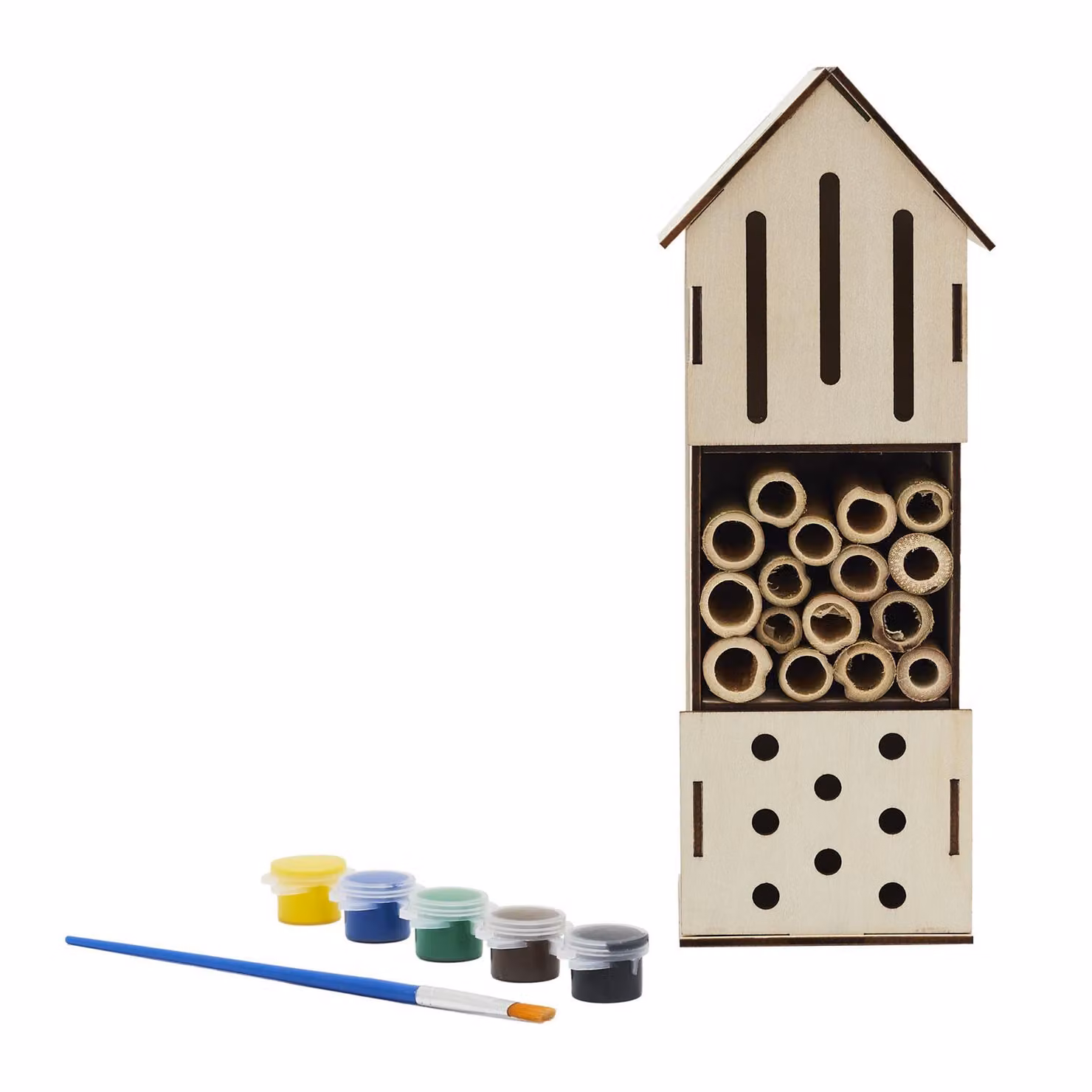 Kit artigianale di hotel per insetti con colori, casa delle api fai da te da costruire e dipingere, giocattolo creativo della natura