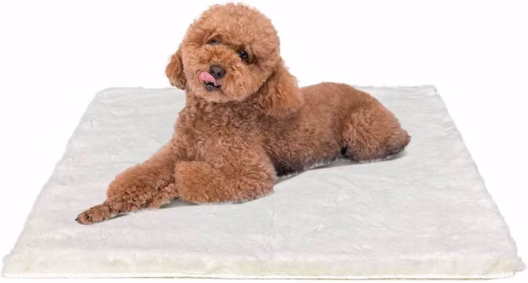 Cuccia per cani di piccola taglia, dimensioni 61 x 45 cm, lavabile, con base antiscivolo, color beige