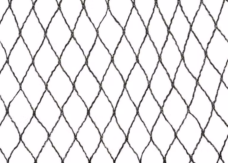 Rete Strend Pro, 8x8 m, maglia 25 mm, anti-uccelli, PE
