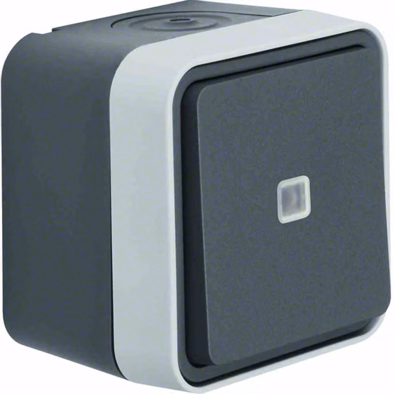 Commutatore Berker illuminato grigio chiaro 30763525