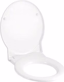 Geberit WC-Sitz Joly weiß, mit Deckel und Befestigung von oben aus Metall