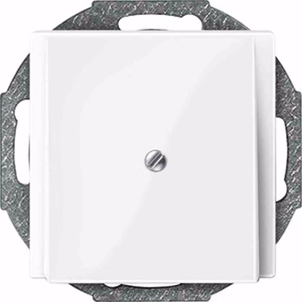 MERTEN Zentralplatte Leitungsausl. 296319 System M polarweiss glänzend 296319 296319 (296319)