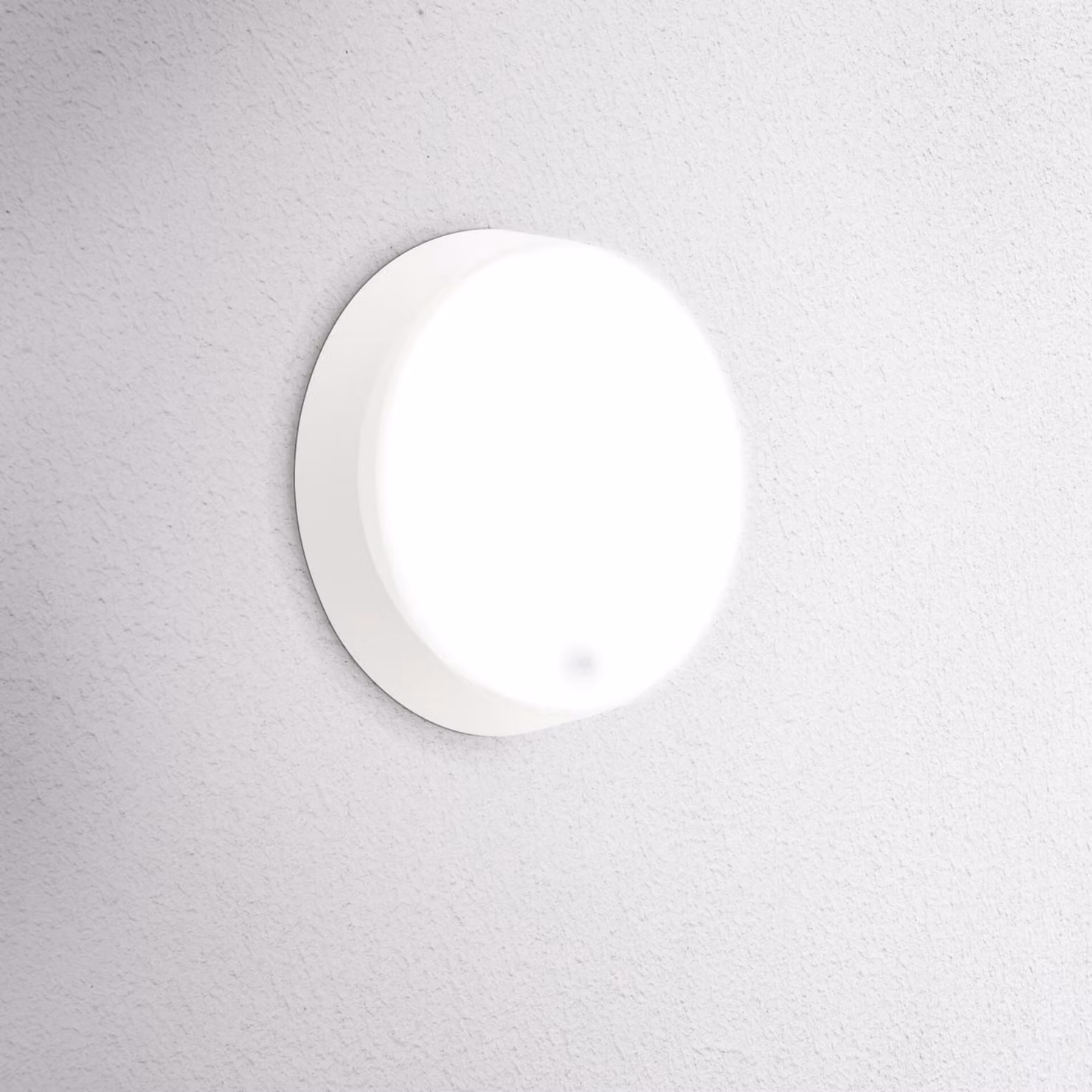 CENTURY Lampada da parete LED rotonda per esterni OASI CCT 14W 3000/4000/6500K IP54 bianca con sensore di movimento