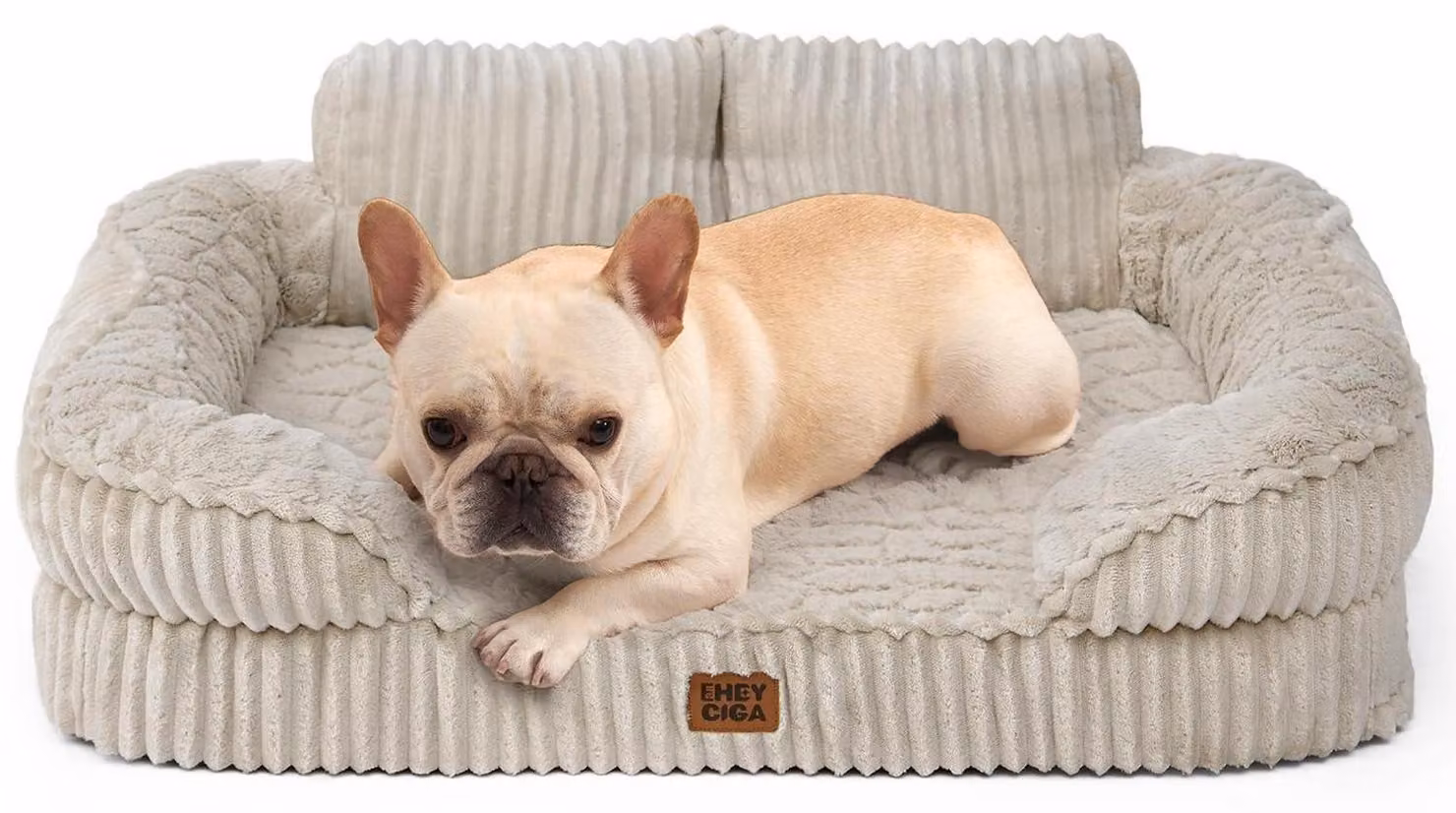 Cuccia ortopedica per cani, 76x51 cm, con memory foam, lavabile, con schienale rialzato. Divano per cani in corda, impermeabile, antiscivolo, colore lino
